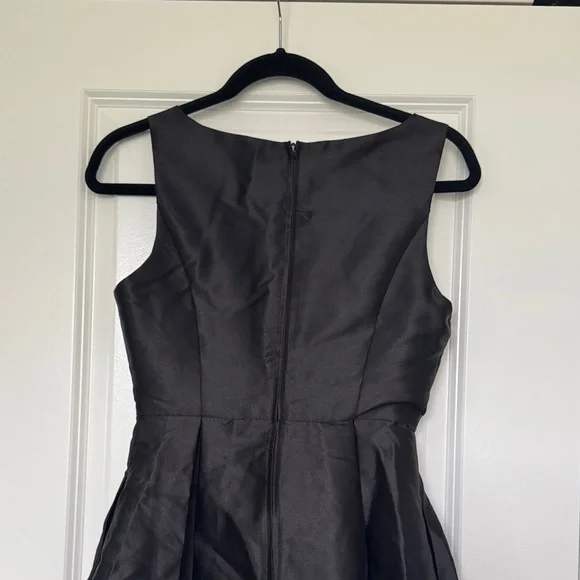 Lela Luxe Black Mini Dress with Red Floral Design - Picture 5 of 6